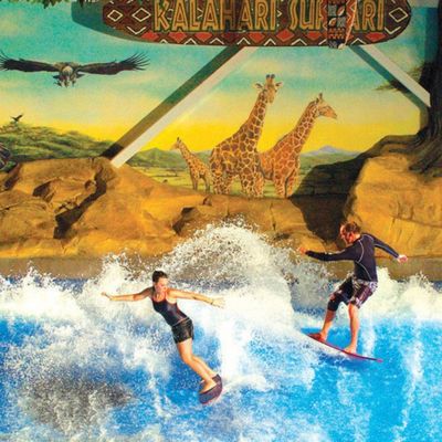 OEM Flowrider Surfing Simulator mit 65kW Wasserpumpe und weichem, starkem PVC für Wasserparks 15,3m*9,3m