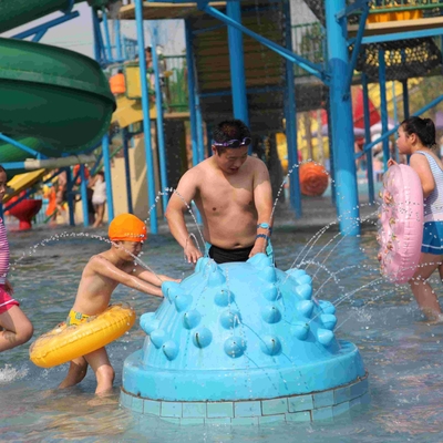 Fiberglas-Wasser-Spielplatzgeräte-Igel-Spray-Produkt für Vergnügungspark