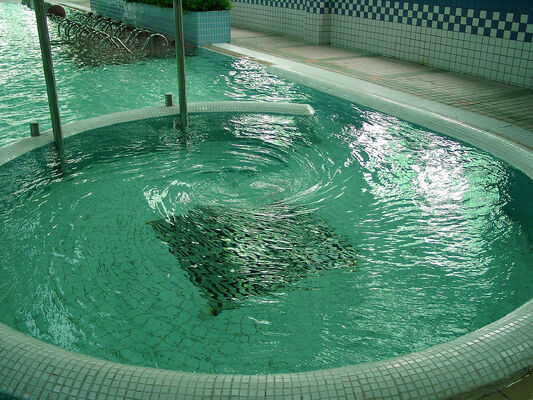 Korrosionsbeständige SPA-Hydrotherapieausrüstung mit feuerverzinkter Stahlkonstruktion und intelligentem Steuerungssystem